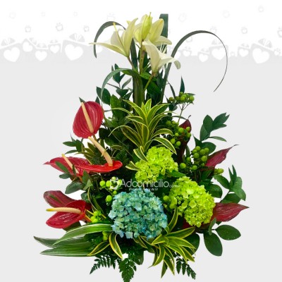 Hortensias Y Lirios Para Regalar A Domicilio En Cali Pedido Con Un Día De Anticipación 