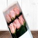 Flores Medellín Caja x 6 Rosas rosa 