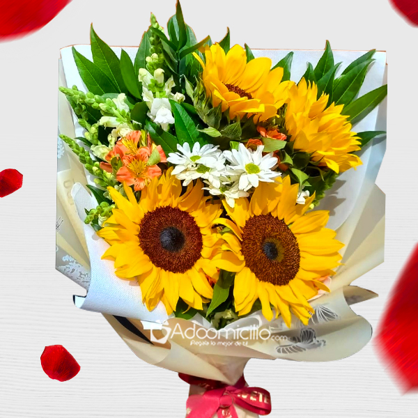 Bouquet De Girasoles Para Amor Y Amistad A Domicilio En Cali 
