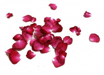 Petalos de rosas