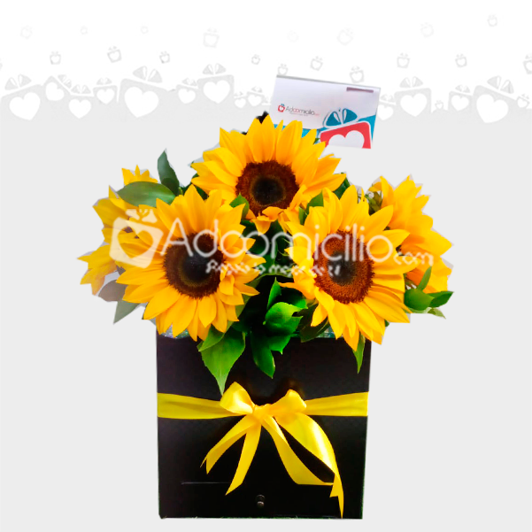 Encanto Girasol Dia de la Mujer A Domicilio En Cali