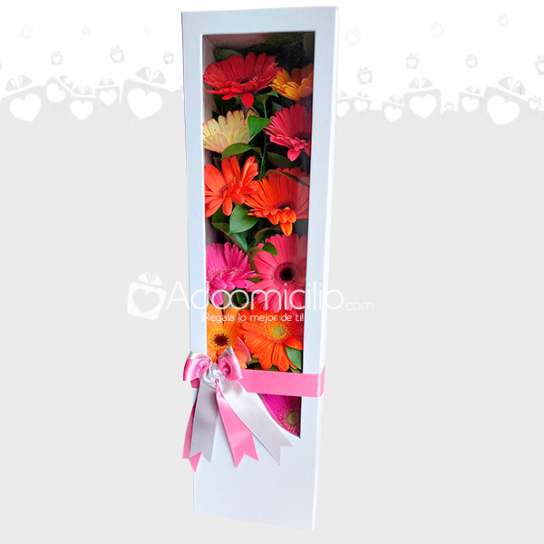 Regalo día de la madre  Caja de gerberas en Pereira 